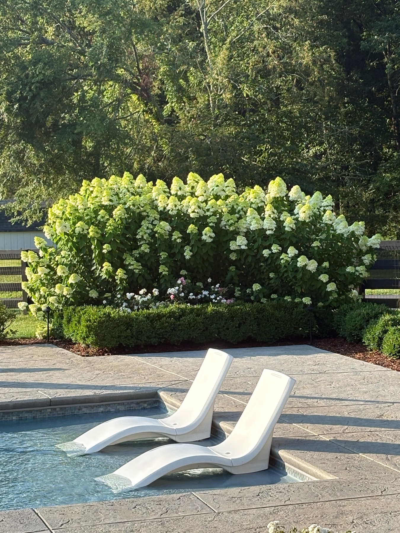 Whispers of Glory gallery photo 2