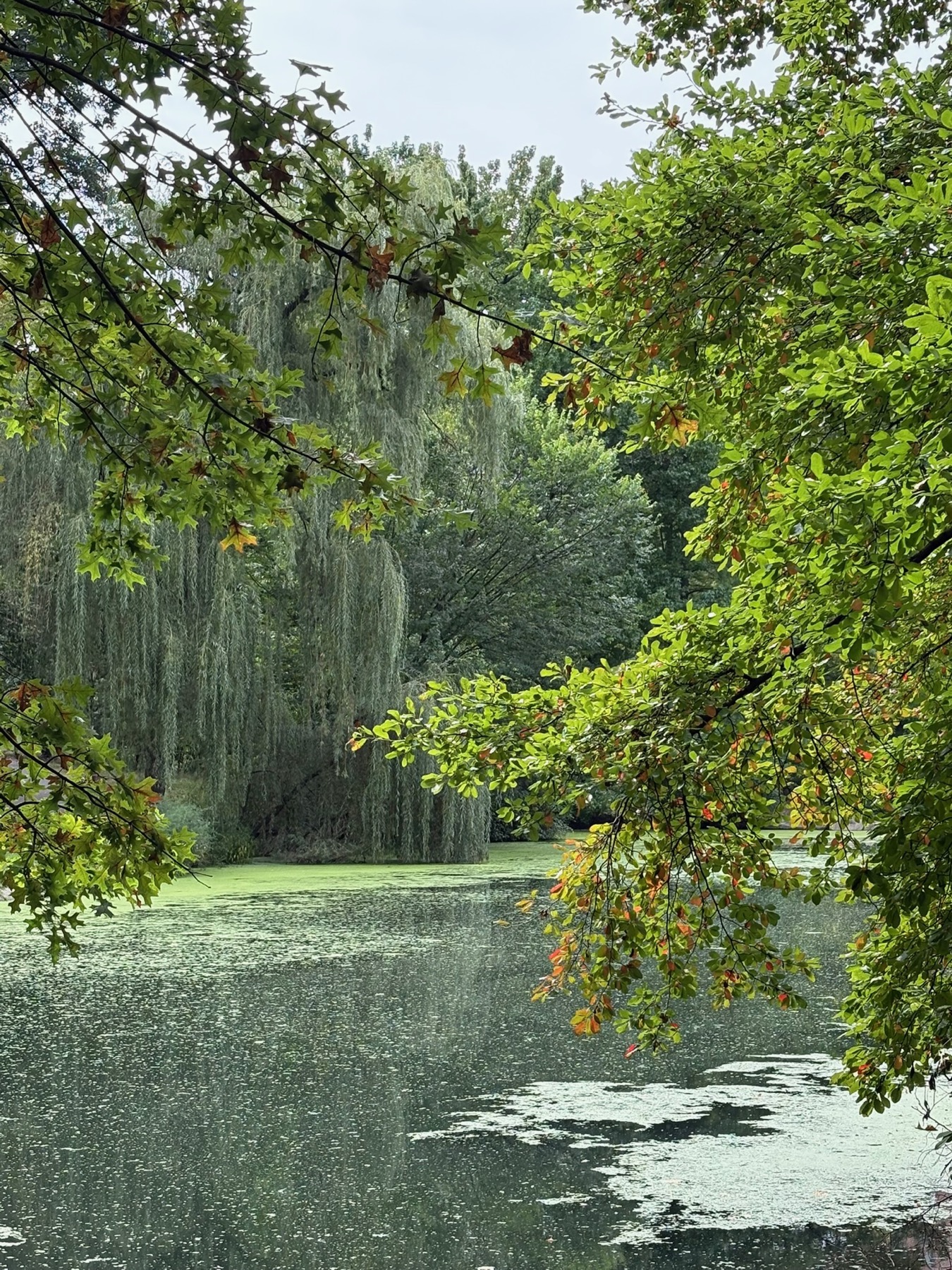 Whispers of Glory gallery photo 17